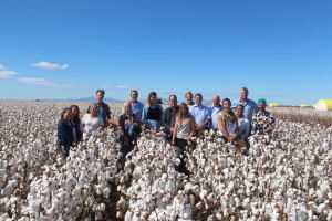 Australian cotton: here are the facts